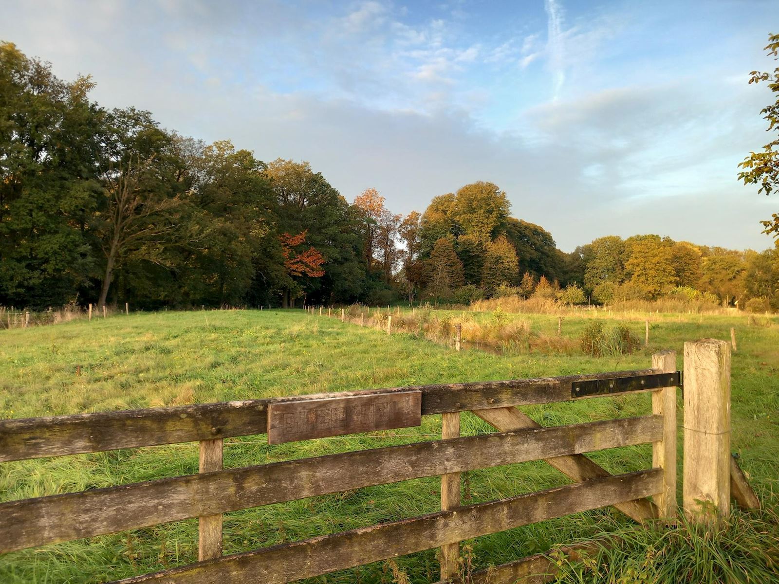 Ledeboerpark